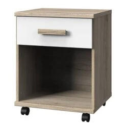 Rollend Kastje Cariba